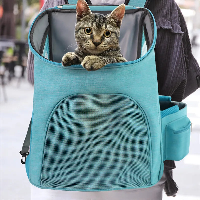 Haustier-Trage-Rucksack mit Netzdesign – Bequeme Transporttasche für Katzen und kleine Hunde