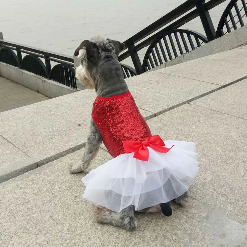 Elegantes Hundekleid mit Glitzer und Tüllrock In 2 Farben