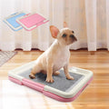 Hunde Wc Indoor – Sauberes Hundeklo Mit Rutschfester Matte Für Welpen Kleine Hunde