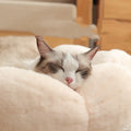 Kuscheliges Katzenbett in Blumenkorb-Form – Weich und Komfortabel für Entspannende Nächte