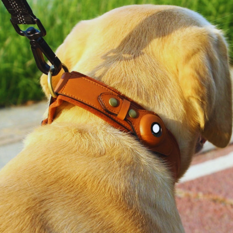 Leder Hundehalsband mit O-Ring – Verstellbares Hundehalfter In Verschiedenen Farben