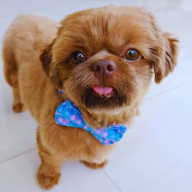 Verstellbares Hundehalsband mit Meerjungfrauen-Muster und Metallverschluss