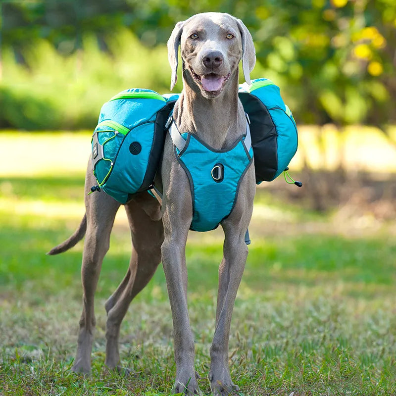 Hundewanderrucksack mit Wasserfesten Taschen – Tragbare Hundetrage für Outdoor-Aktivitäten