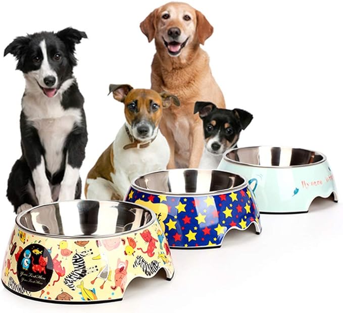 Bunte Futterschalen für Haustiere – Mit Edelstahl und Lustigen Mustern