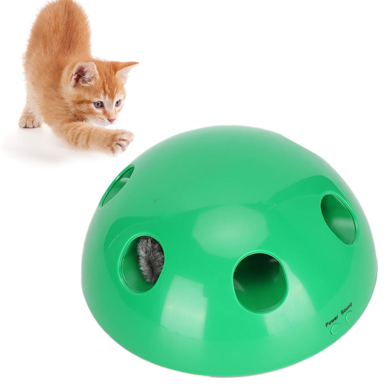 Katzen Guck-Guck Spiel