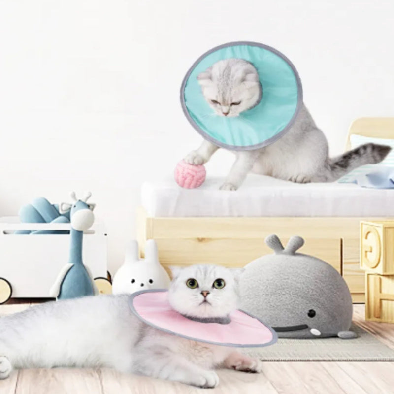 Weicher Schutzkragen für Katzen und Kleine Hunde – Komfortabler Halskragen Gegen Lecken und Kratzen