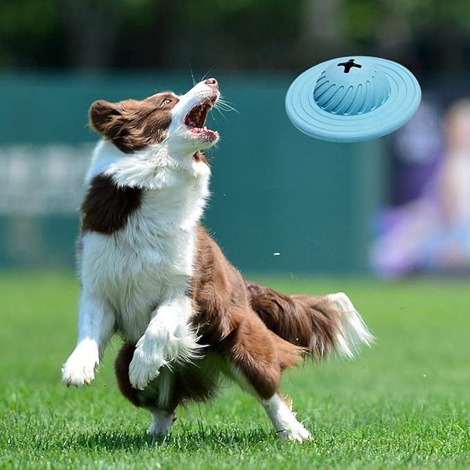 Interaktives UFO-Hundespielzeug – Futterball mit Leckerlispender für Hunde