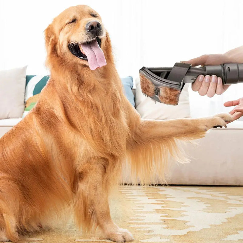 Tierhaarbürste Aufsatz – Staubsauger Aufsatz Für Haustierpflege Und Fellreinigung