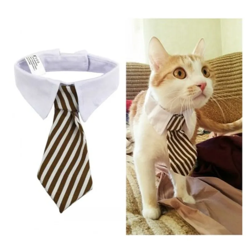 Eleganter Haustier-Kragen mit Krawatte für Hunde und Katzen