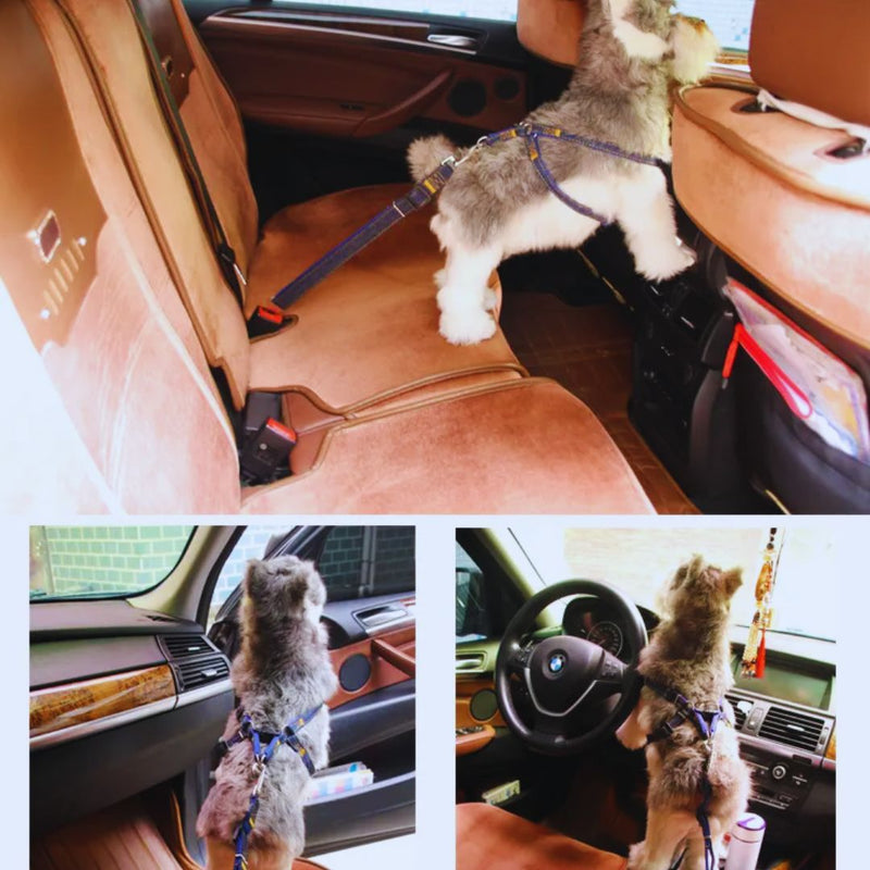 Hundesicherheitsgurt für Auto Verstellbare Leine Aus Denim