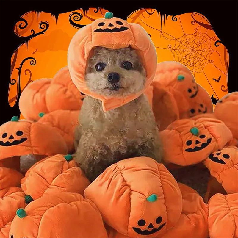 Süßes Halloween-Kürbis-Hundekostüm – Mit Lächelndem Kürbis-Design für Kleine Hunde