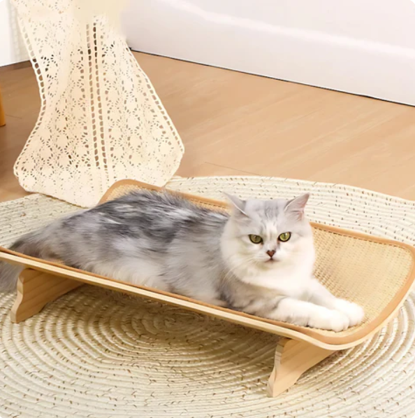 Ruhiges Katzenbett mit ergonomischer Kratzmatte