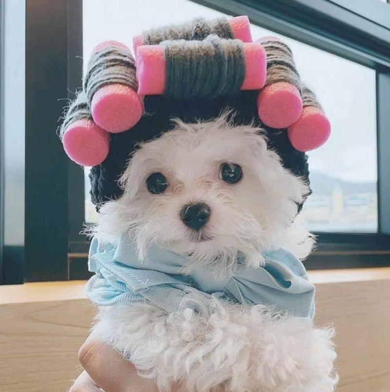 Katzen Haarkur-Set mit Lockenwicklern – Weiches Material und Einfach zu Tragen