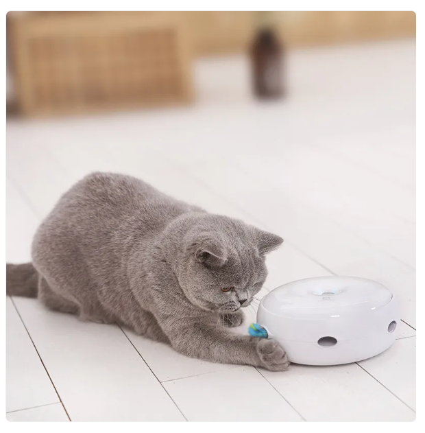 Interaktives Katzenspielzeug – Automatisches Spielzeug Mit Regenbogen-Puschelfeder