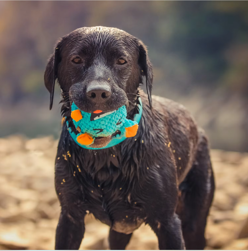 Interaktiver Plüsch-monsterball – Lustiges Spielzeug Für Hunde