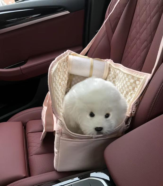 Stylische Tragetasche Für Kleine Hunde – Bequeme Atmungsaktive Haustier Transporttasche