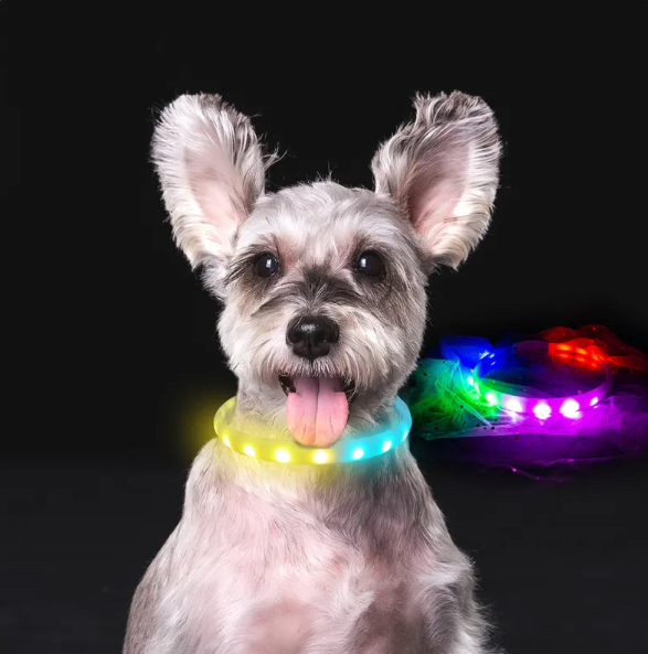 LED-Leuchthalsband für Hunde mit USB-Aufladung und Mehreren Farbmodi – Sichtbarkeit Bei Nacht