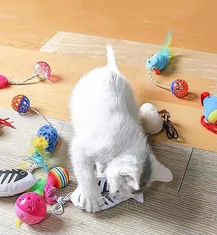 Katzenspielzeug-Set – Plüschmäuse Mit Federn Bällen