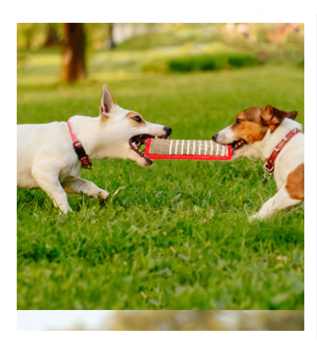 Beißwurst Für Hunde – Robustes Jute-trainingsspielzeug Mit Griffen Für Welpen Erwachsene Hunde