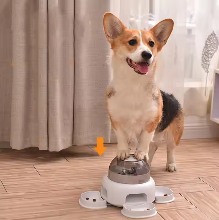 Hundefutter Spender mit Transparenter Kammer – Einfaches Nachfüllen und Sichtbares Futter