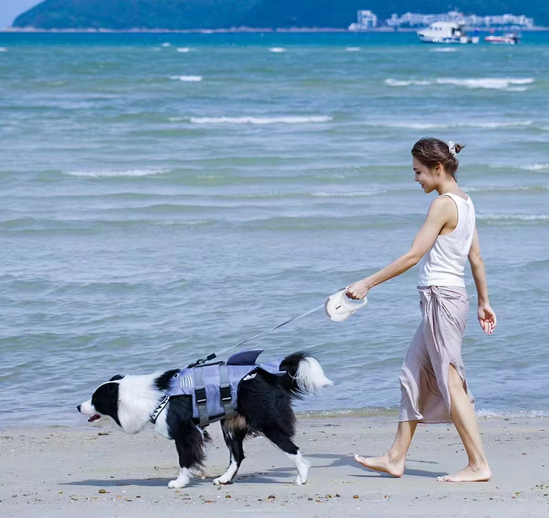 Automatischer Hundeleinen-Retriever mit Rotationsmechanismus – 5m Flexi Leine für Hunde