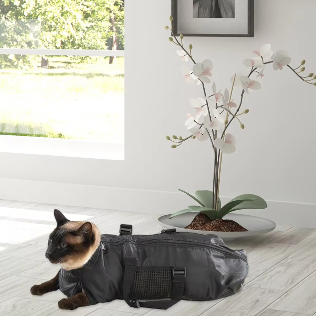 Katzenpflege-Tasche für Krallenschneiden und Pflege – Bequem und Sicher