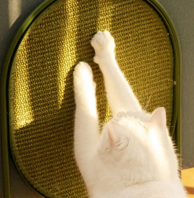 Katzenkratzbaum Im modernen Design – Sisal-Kratzspielzeug für Katzen zur Krallenpflege