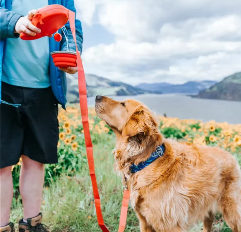 Hundeleine Mit Wasserbehälter Faltbarem Napf Und Abfallbeuteln