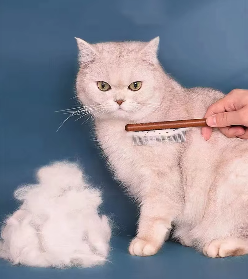 Hochwertiger Holz-flohkamm – Sanfte Fellpflege Für Katzen Hunde