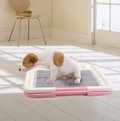 Hunde Wc Indoor – Sauberes Hundeklo Mit Rutschfester Matte Für Welpen Kleine Hunde