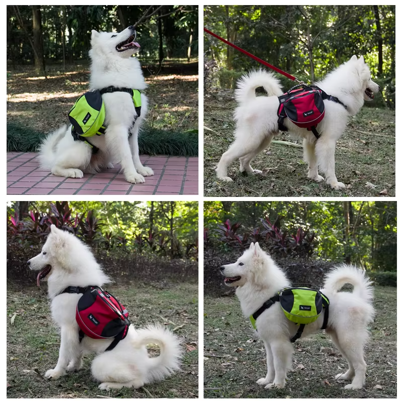 Hunde-Rucksack für Outdoor-Aktivitäten – Verstellbar und Wasserdicht in Rot und Grau
