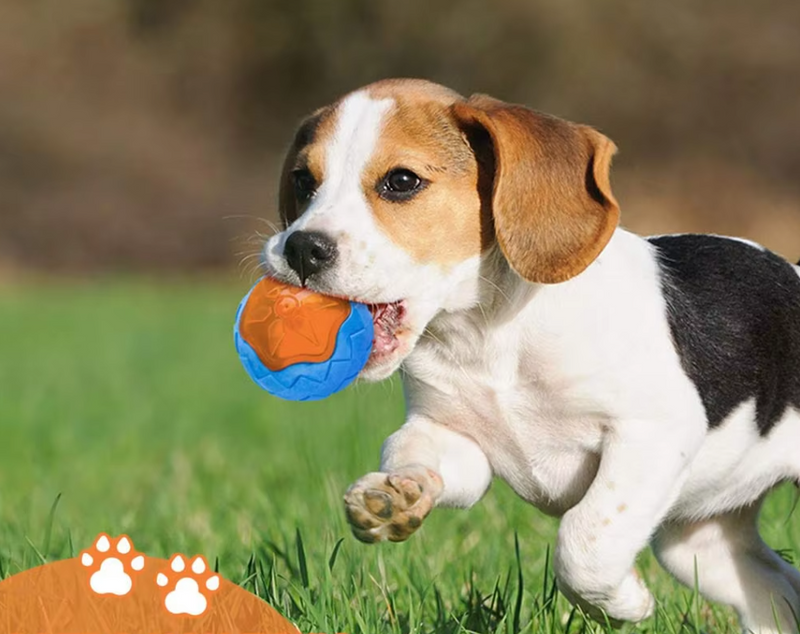 Robustes Hundespielzeug-Set – Interaktive Beiß- Quietschspielzeuge