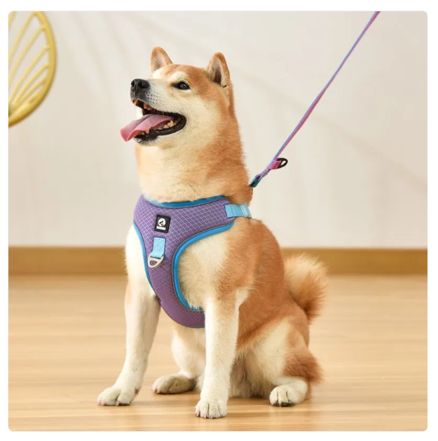 Atmungsaktives Hunde-Geschirr mit Leine – Verstellbar für Komfort