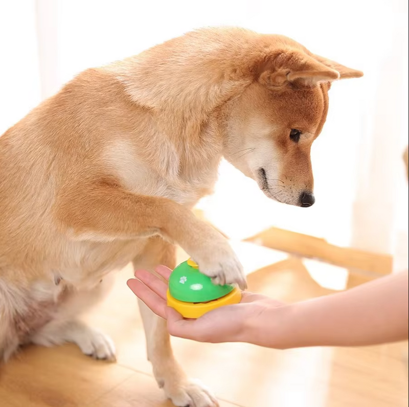 Trainingsklingel Für Hunde – Interaktive Futter- Kommunikationsglocke