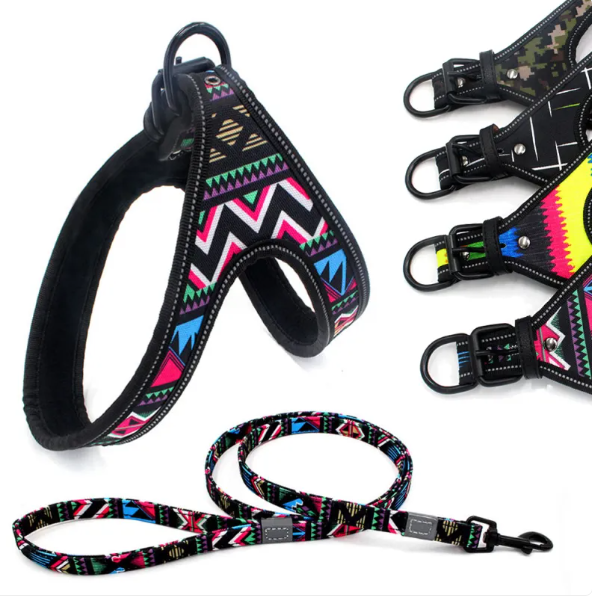 Buntes Hunde-Geschirr mit Leine – Komfortabel und Verstellbar für Alle Hundetypen