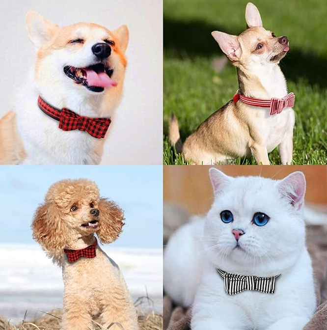 Glänzendes Hunde Halsband mit Schleife für besondere Anlässe