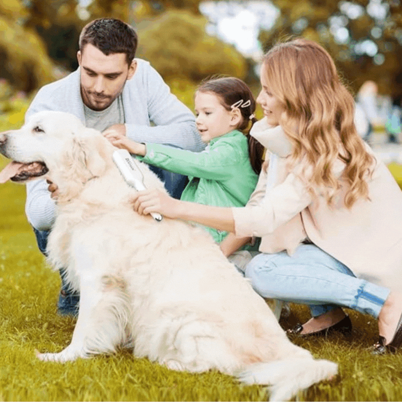 Elektrische Massagebürste für Haustiere mit USB-Aufladung und Fellpflegefunktion
