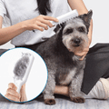 Elektrische Massagebürste für Haustiere mit USB-Aufladung und Fellpflegefunktion
