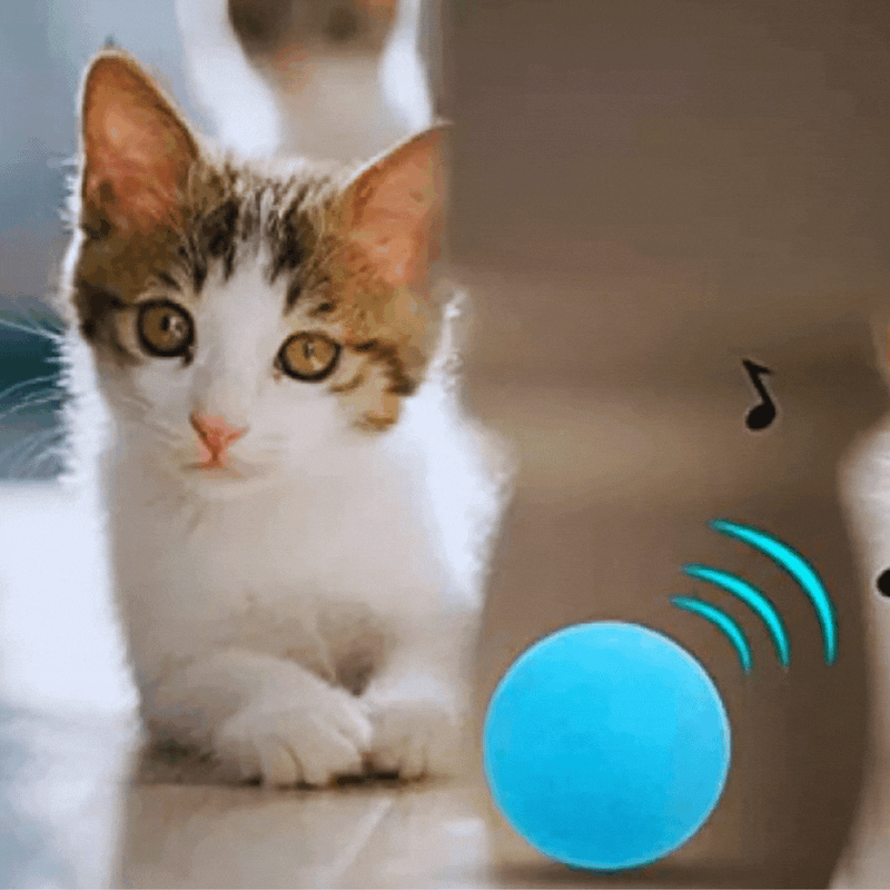 Interaktiver Katzenball mit Musik und LED-Lichtern für Katzen – Spielzeug für Haustiere