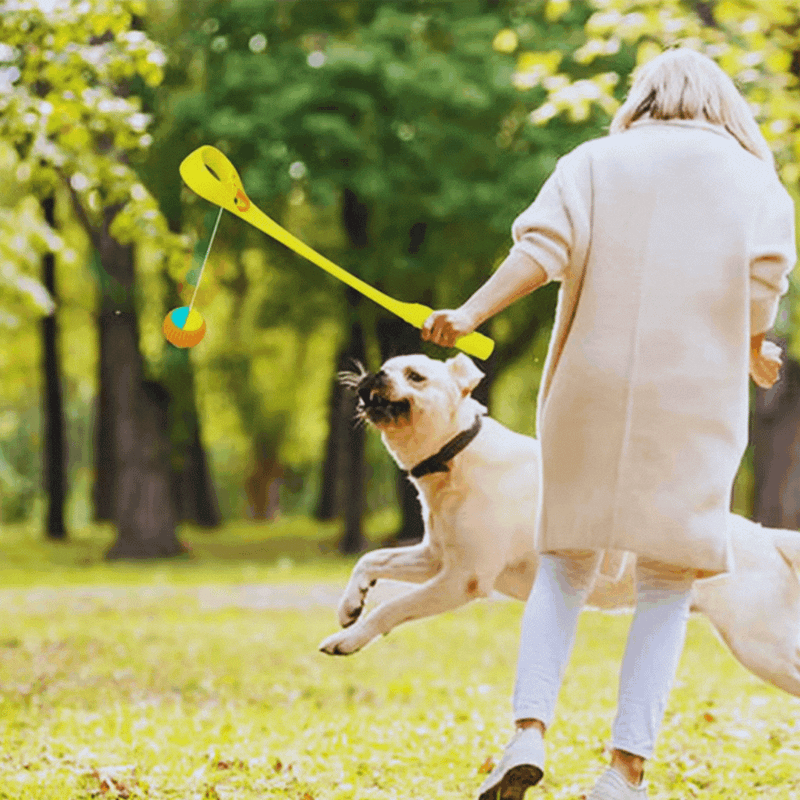 Hundespielzeug Wurfspiel für Hunde mit Ballwurf Stab