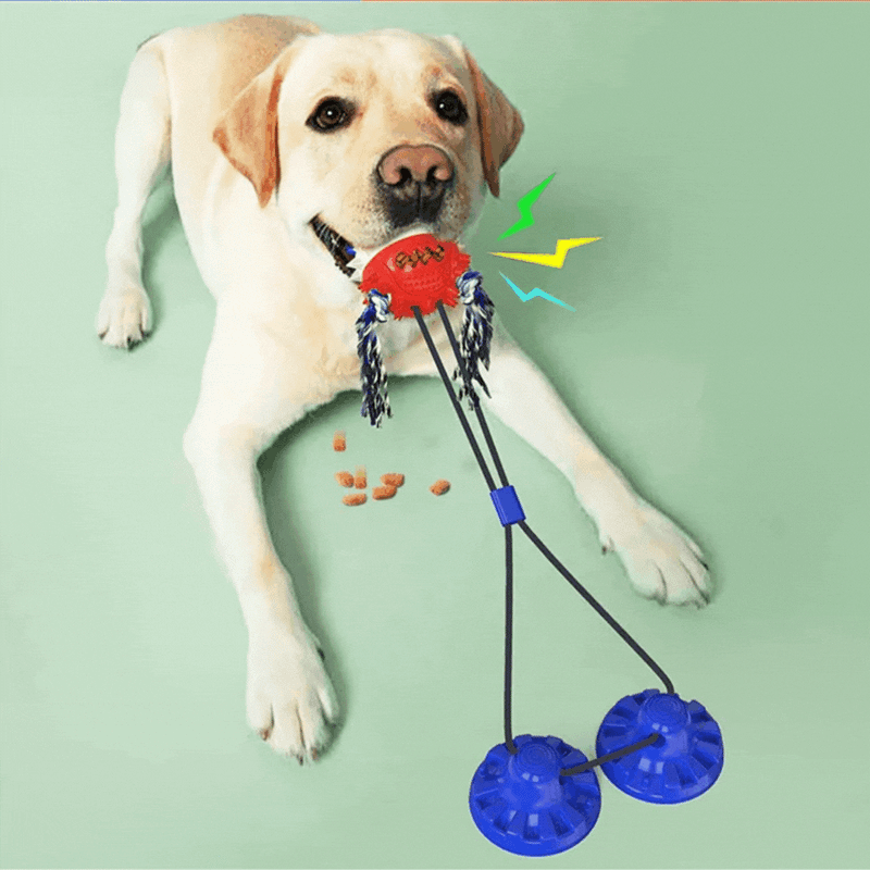 Interaktives Hundespielzeug mit Saugnäpfen und Leckerli-Spender
