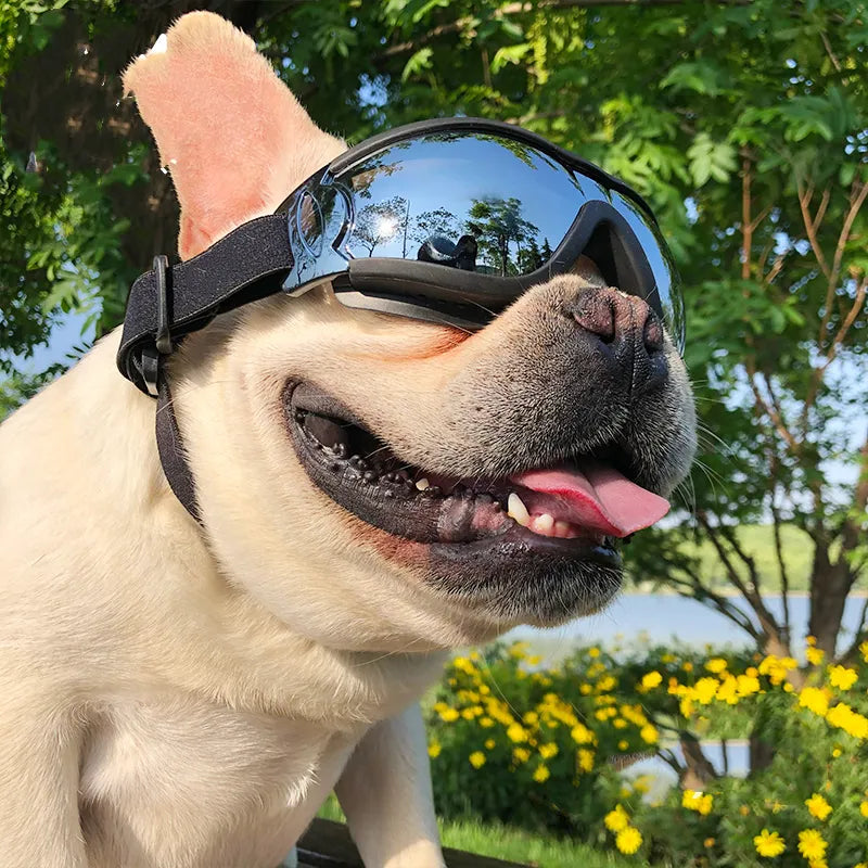 Schutzbrille für Hunde – UV-Schutz und Winddichte Brille für Haustiere