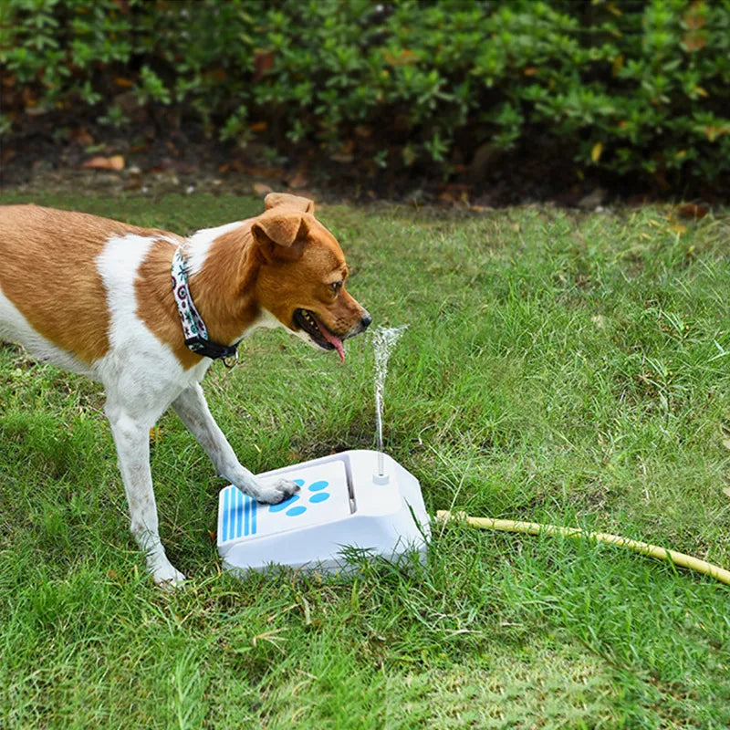 Outdoor Hundetrinkbrunnen mit Pfotentaste für Selbstständiges Trinken im Garten