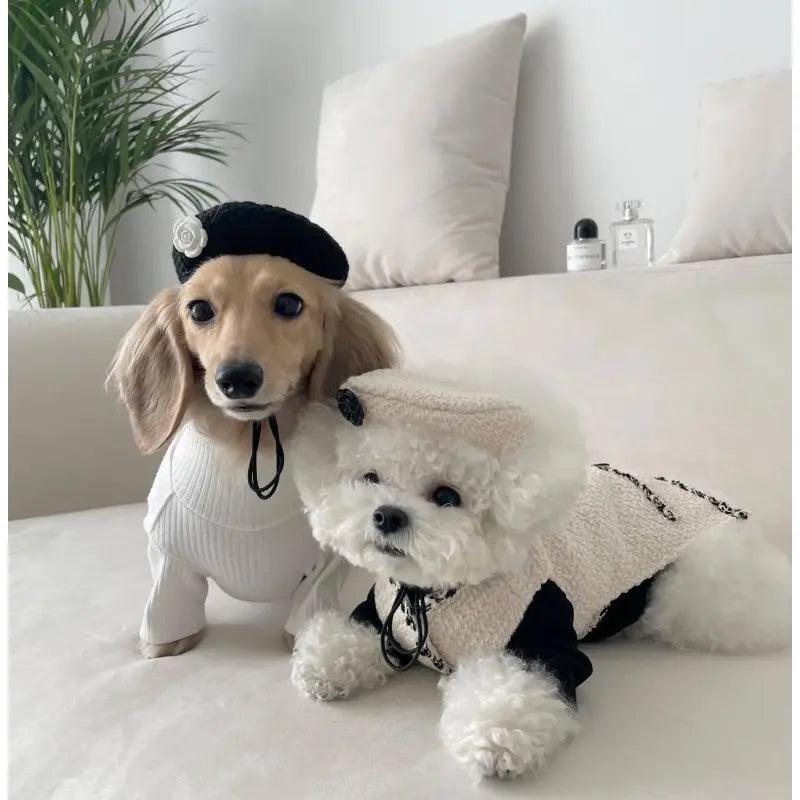 Elegantes Hundehalsband mit Schickem Hütchen und Blumenapplikation – Modisches Design für Deinen Vierbeiner