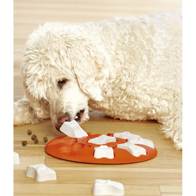 Intelligenzspielzeug für Hunde – Interaktives Hunde Denkspiel mit Leckerli-Versteck