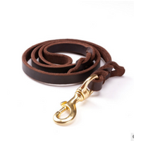 Leder Hundeleine mit Goldener Karabiner – Robustes und Elegantes Hundezubehör