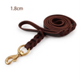 Leder Hundeleine mit Goldener Karabiner – Robustes und Elegantes Hundezubehör