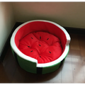 Hundebett Im Wassermelonendesign für Komfort und Entspannung