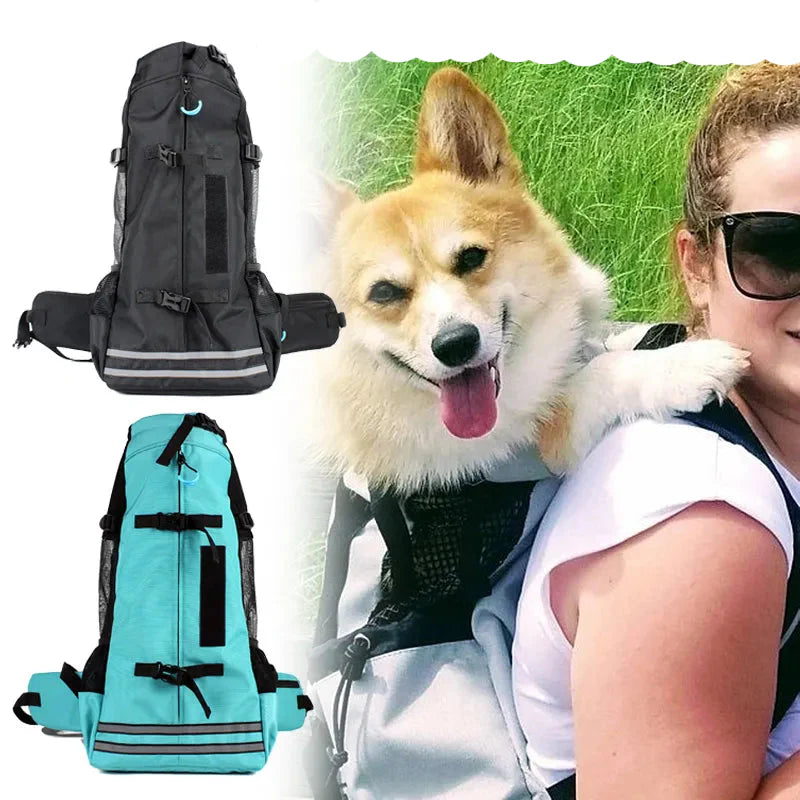 Tragbarer Pet Travel Rucksack für Hunde – Bequem und Praktisch für Unterwegs