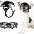 Stylischer Hundehelm mit Brille